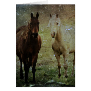 Buques de caballo Grunge