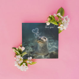 burbujas de corazón que soplan focas