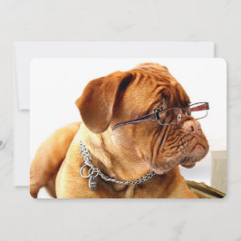 Burdeos Mastiff, regalo francés Mastiff Bordeauxdo