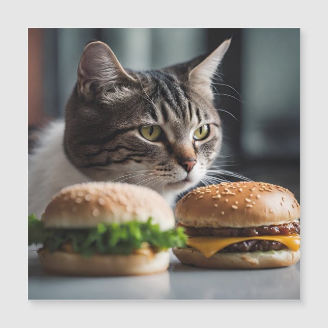 Burger Buddy - arte de gatos (Anverso)