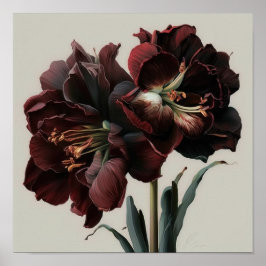 Burgundy Amaryllis Poster de impresión de arte flo