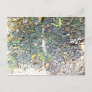 Burlas en una postal de streaming