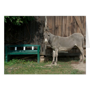 Burro Adorable Al Lado De Un Baño Verde De Madera