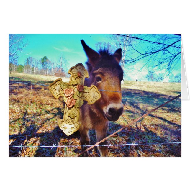 Burro con cruz Rosa (Anverso (Horizontal))