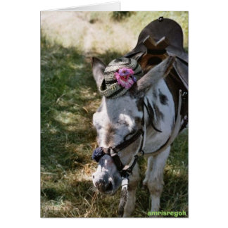 burro con gorra