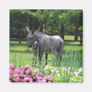 Burro en imán de jardín