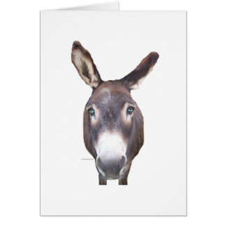Burro en tu cara