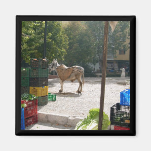 Burro español en el mercado de Baza - imán