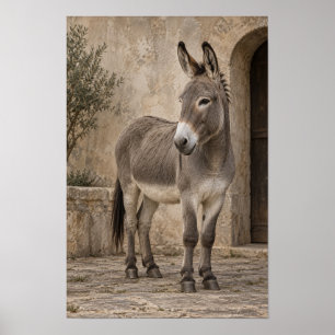 Burro Gris en Patio de Piedra Rústica Arte de Pare