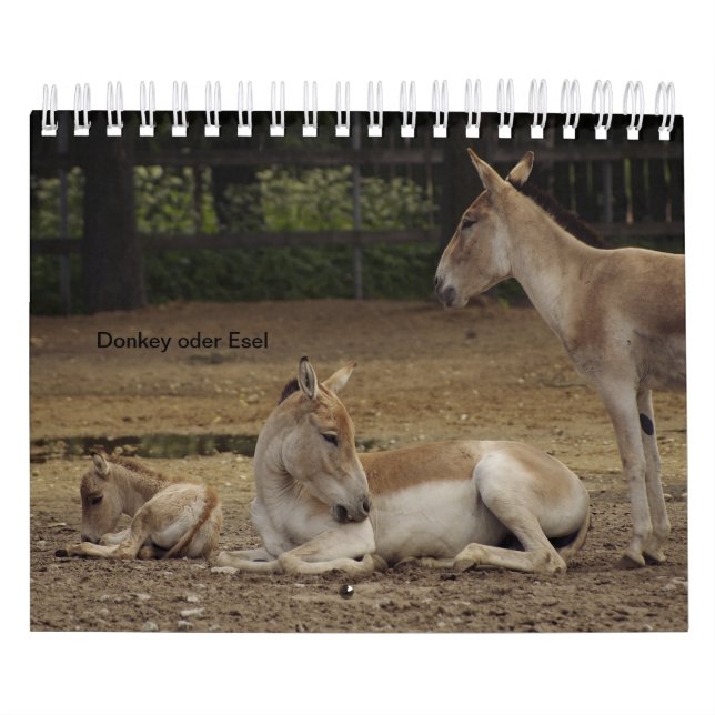 Burro o Donkey como calendarios (Tapa)