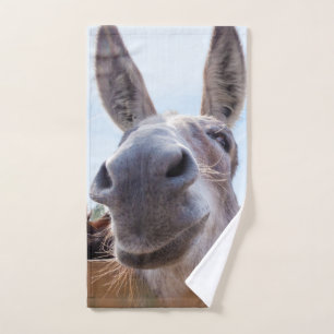 Burro sonriente