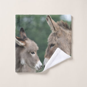Burros