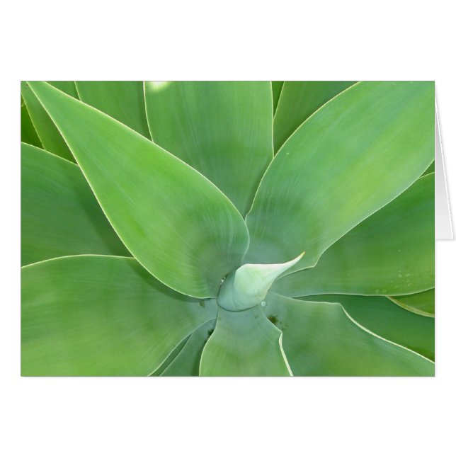 Burst verde v2 (Anverso (Horizontal))