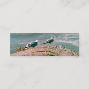 Bus. Tarjeta - Gaviotas en el acantilado