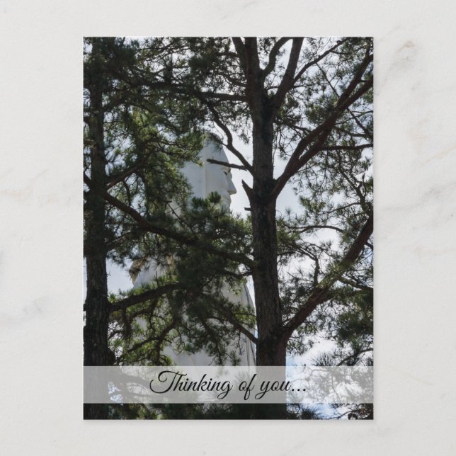 Busca y encontrarás tu postal (Anverso)