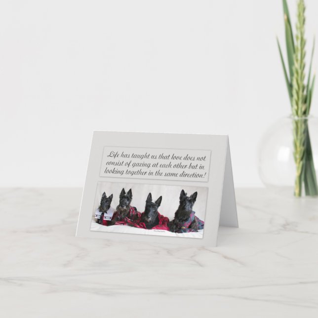 Buscando amor (Anverso)