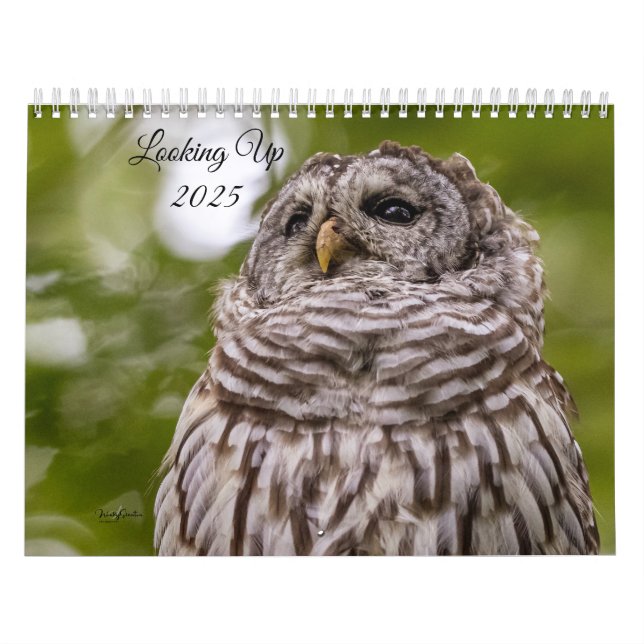 Buscando Calendario 2025 (Tapa)