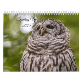 Buscando Calendario 2025