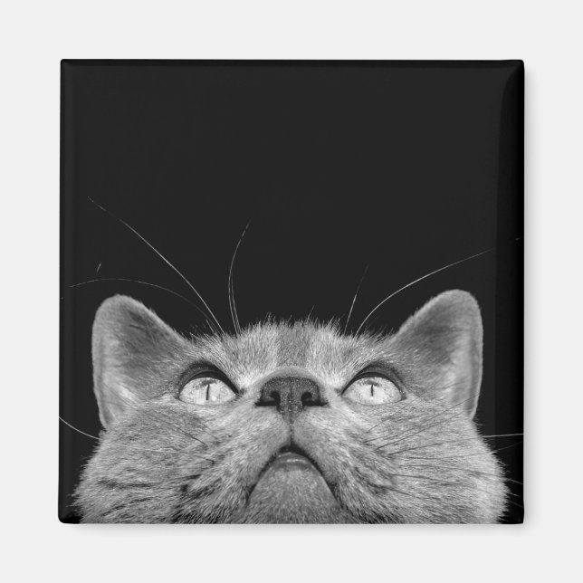 Buscando imán (Frente)