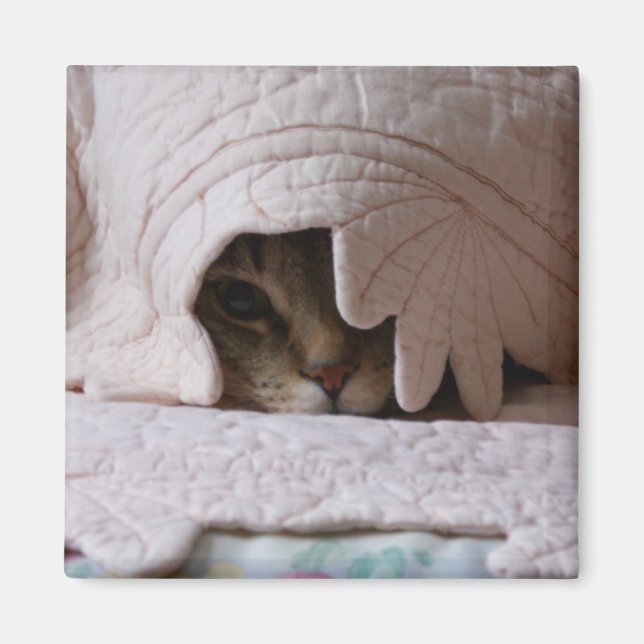 Buscando imán de Tom (Frente)