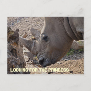 Buscando la postal de la princesa