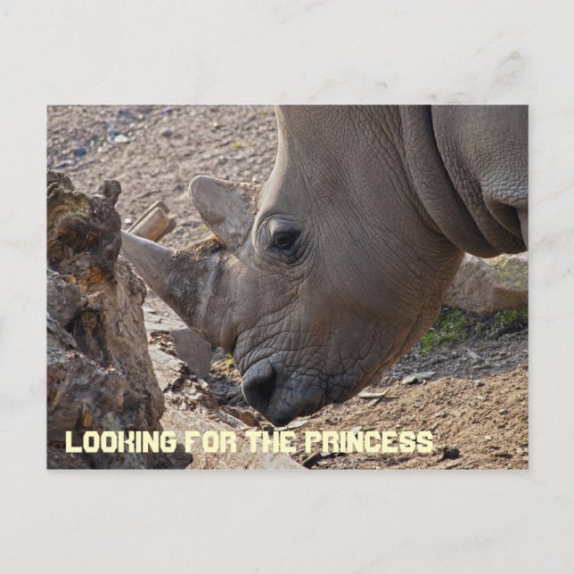 Buscando la postal de la princesa (Anverso)