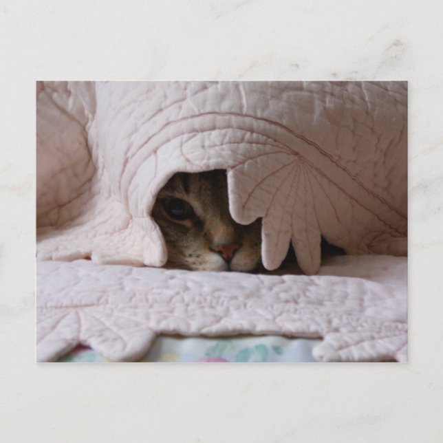 Buscando la postal de Tom (Anverso)