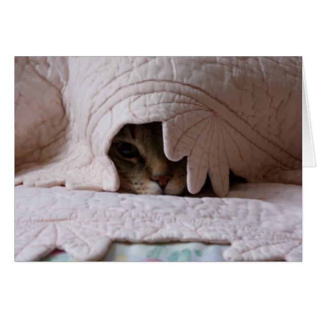 Buscando la tarjeta de Tom (Anverso (Horizontal))