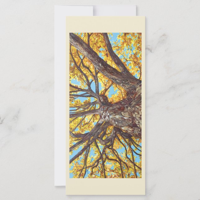 Buscando tarjeta plana (Anverso)