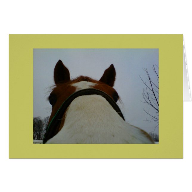 Buscar en la tarjeta (Anverso (Horizontal))