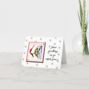 Buscar en la tarjeta de vacaciones para gato de lo