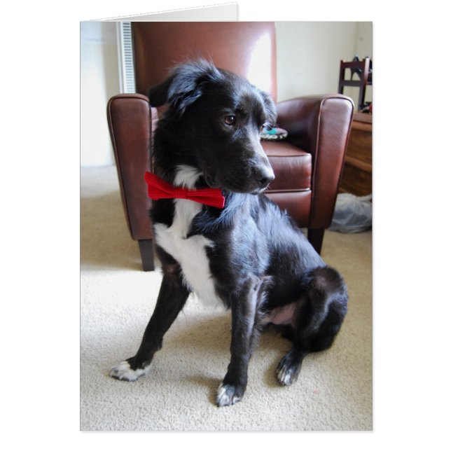 Buscar más Fab (Frente)