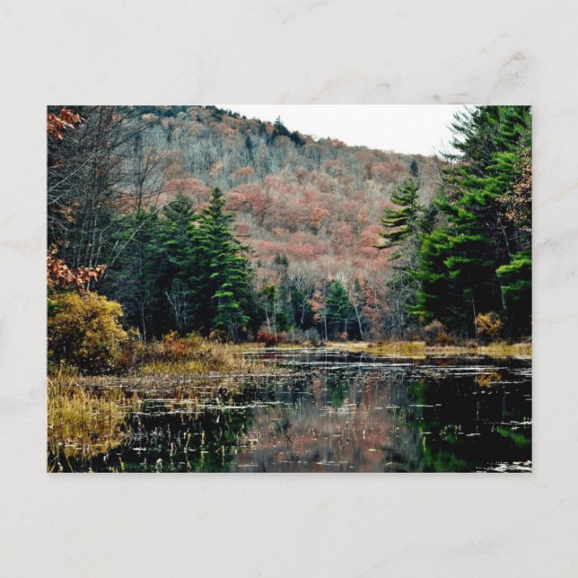 Buscar postal (Anverso)