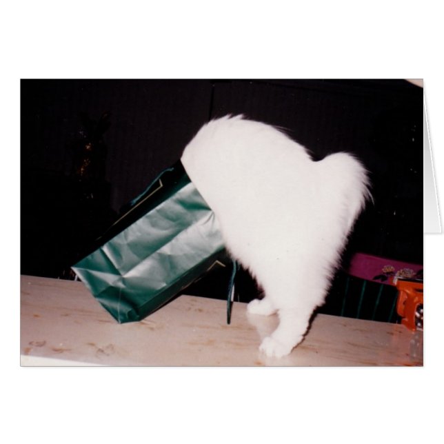 Búsqueda (Anverso (Horizontal))