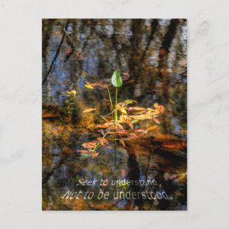 Búsqueda a entender, no ser postal entendida