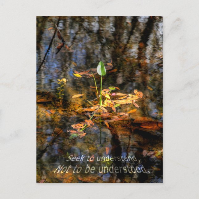 Búsqueda a entender, no ser postal entendida (Anverso)