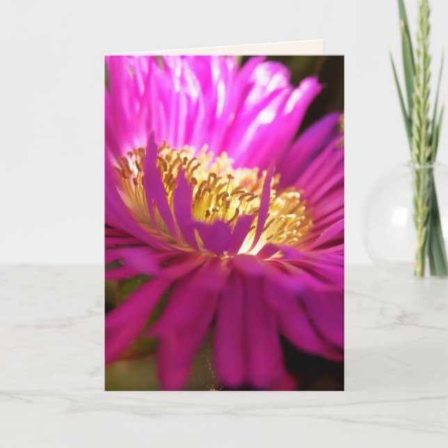 búsqueda de la luz - tarjeta de fotografía macro (Anverso)