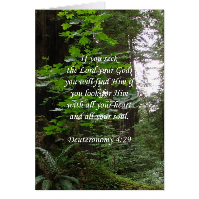 Búsqueda del ~ del 4:29 de Deuteronomy el señor (Frente)