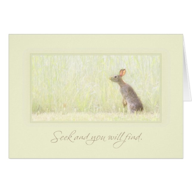 Búsqueda y hallazgo (Anverso (Horizontal))