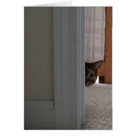 ¡Busquen Un Boo! Tarjeta de gato