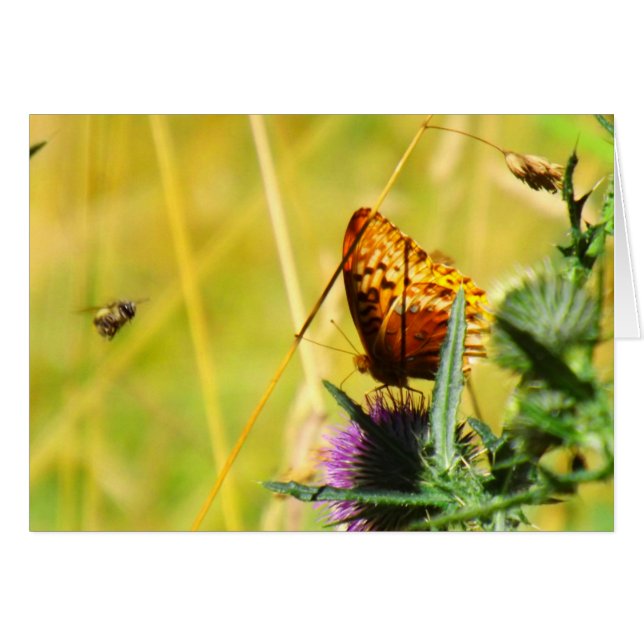 Busy Meadow (Anverso (Horizontal))