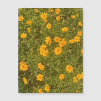 Butter Daisy Garden Magnet