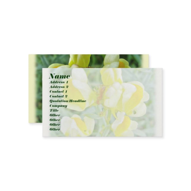 Butter 'n Eggs Wildflower Tarjeta de negocios (Anverso/Reverso In Situ)