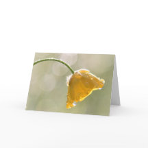 Buttercup Feliz cumpleaños tarjeta de saludo