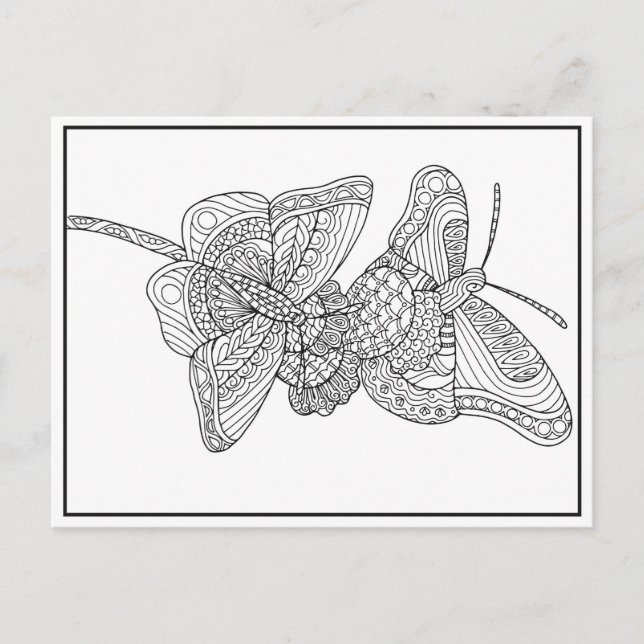 Butterflies Postcard Design - Tarjeta de color (Anverso)