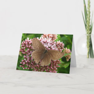Butterfly y el pensamiento floral de su tarjeta de