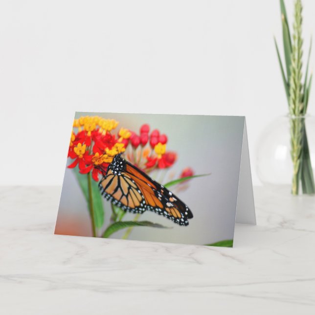 Butterly y tarjetas de nota del diseñador de la (Anverso)