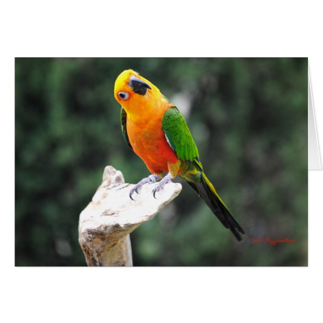 Butters II (Anverso (Horizontal))