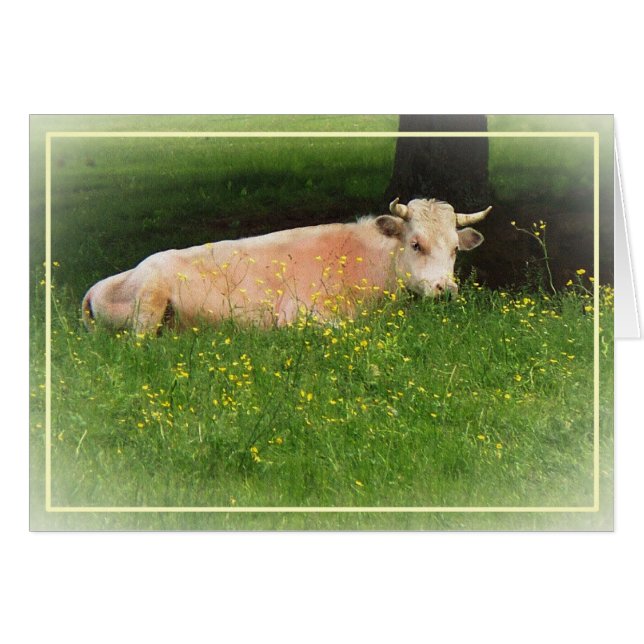 Buzón (Anverso (Horizontal))