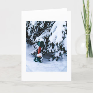 Buzón 2 del navidad